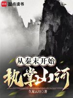 小说《从秦开始顶点》封面