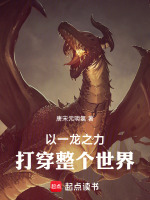 小说《境界有一龙之力的小说》封面