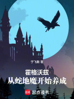 小说《霍格沃兹蛇院是什么》封面