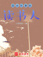 小说《四合院里的读书人无错版》封面