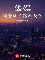 小说《华娱我竟成了资本大佬百度云》封面