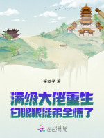 小说《满级大佬重回》封面