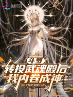 小说《穿越《斗罗大陆》成为武魂殿圣子》封面