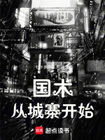 小说《从国术到仙侠小说》封面