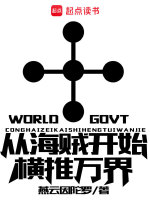小说《从海贼开始横推万界》封面