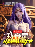 小说《人在斗罗,我》封面
